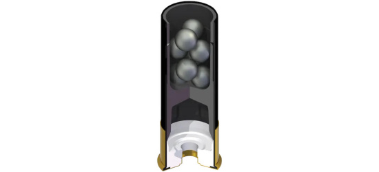 Munition, Hornady, Critical Defense, Kal. 12/70, 8 Pellets, 00 Buckshot, <b>10 Stk.</b>